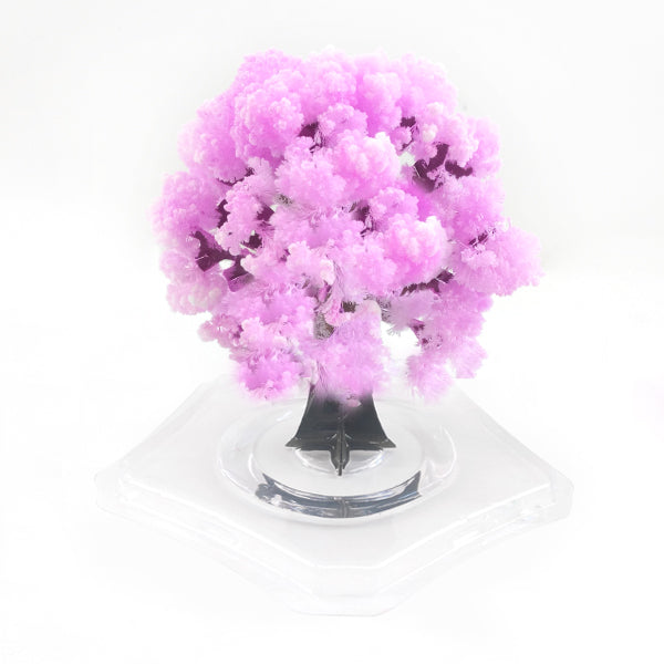 Magic Sakura Tree