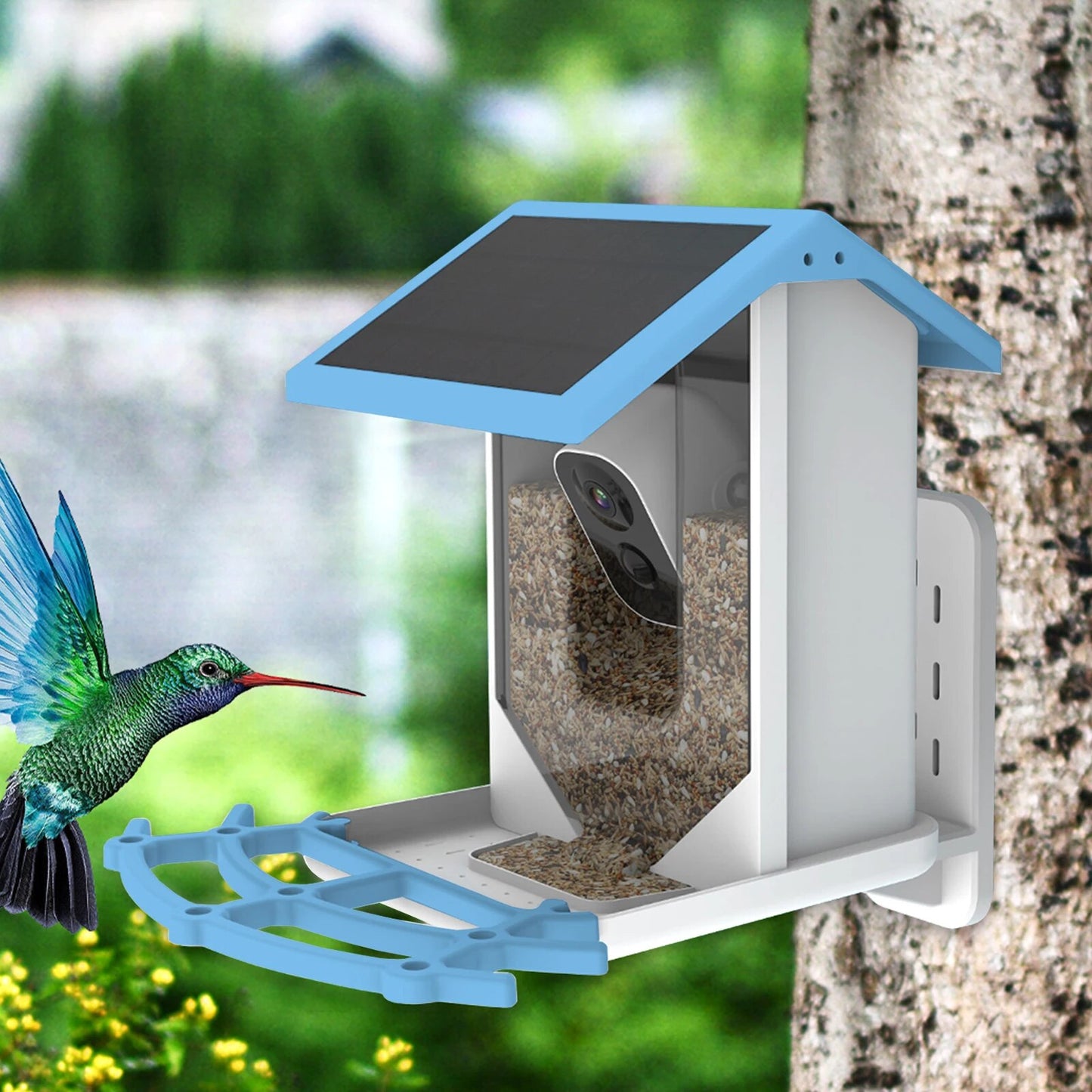 Smart Bird Feeder