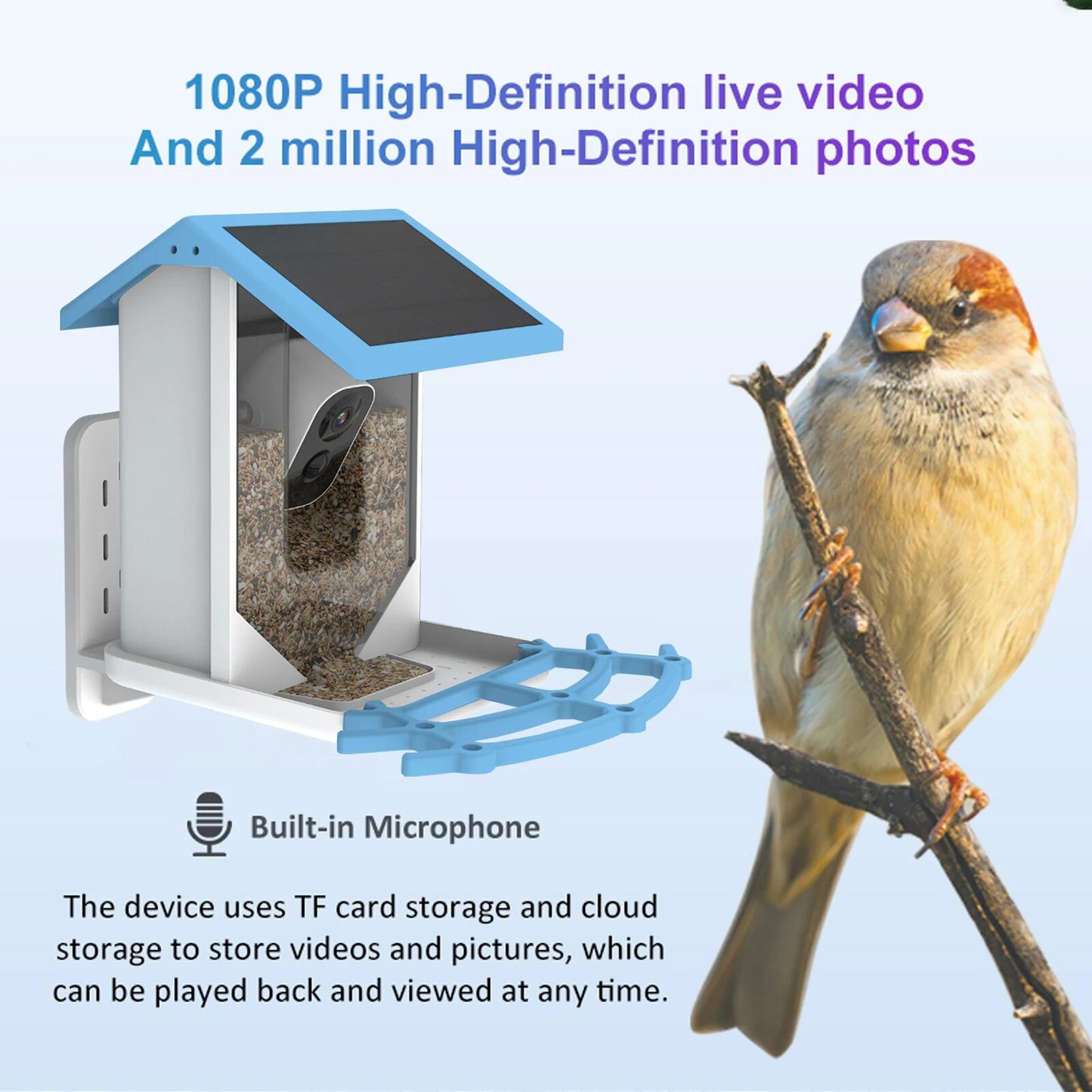Smart Bird Feeder