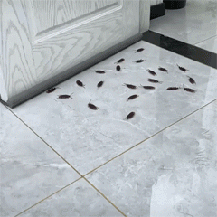 Door Draft Stopper