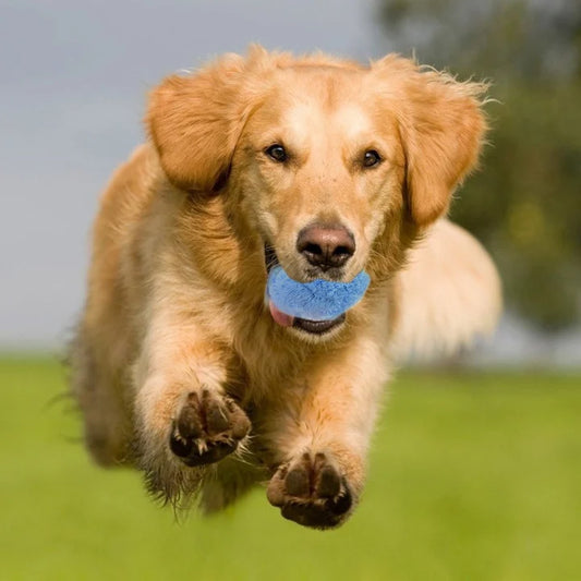 Active Rolling Ball (4 Colors Included)