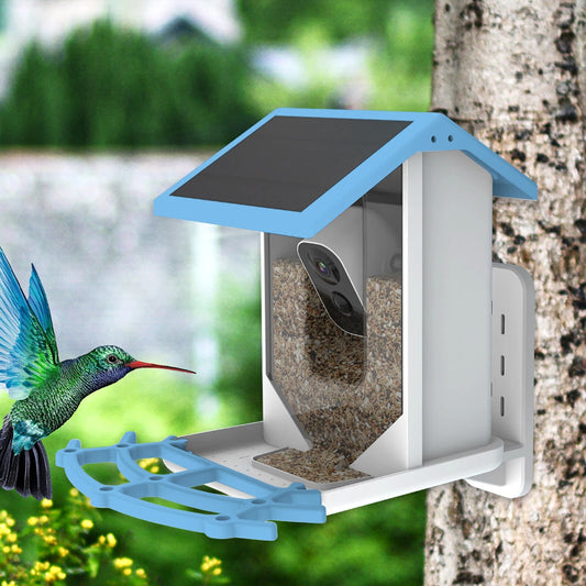 Smart Bird Feeder